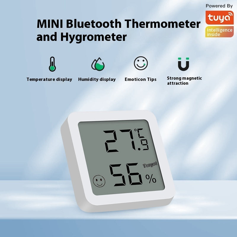 Temperature and humidity meter