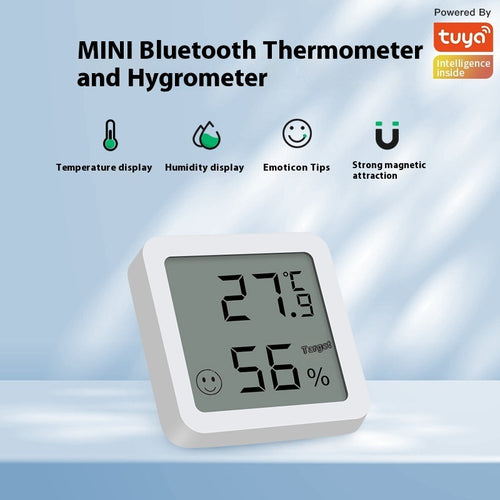 Temperature and humidity meter